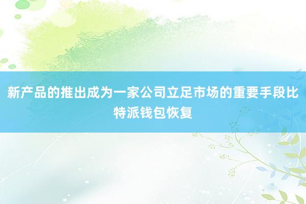 新产品的推出成为一家公司立足市场的重要手段比特派钱包恢复