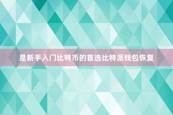 是新手入门比特币的首选比特派钱包恢复