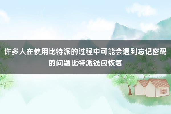 许多人在使用比特派的过程中可能会遇到忘记密码的问题比特派钱包恢复