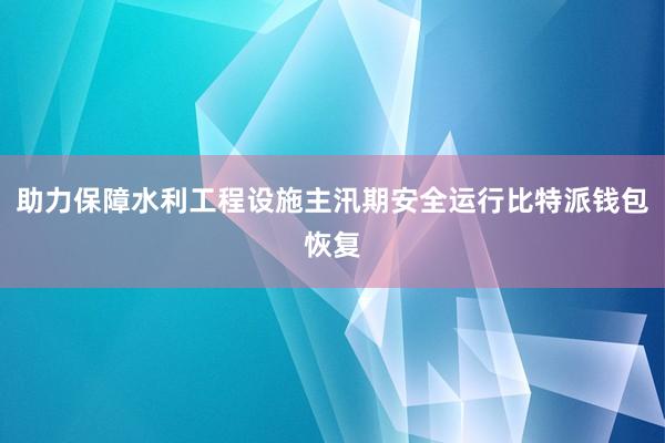 助力保障水利工程设施主汛期安全运行比特派钱包恢复