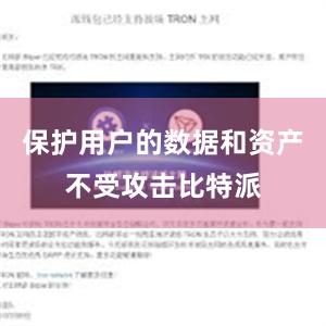 保护用户的数据和资产不受攻击比特派